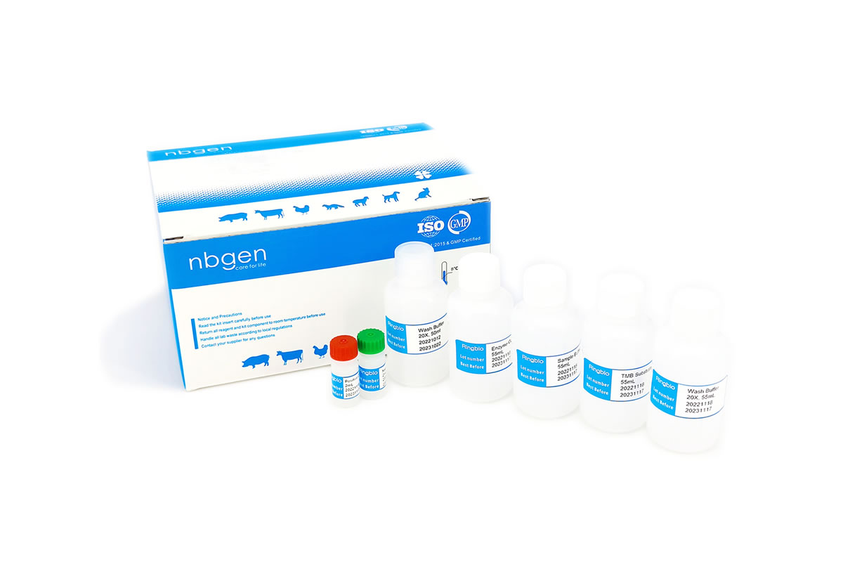 ELISA kit de lactoferrine bovine