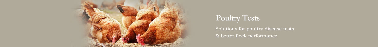 Poultry