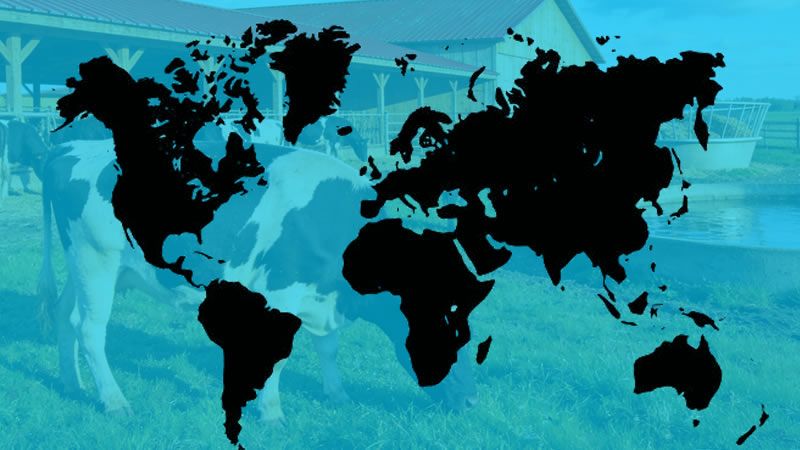 Introduction of Foot-and-Mouth Disease Virus SAT Subtypes