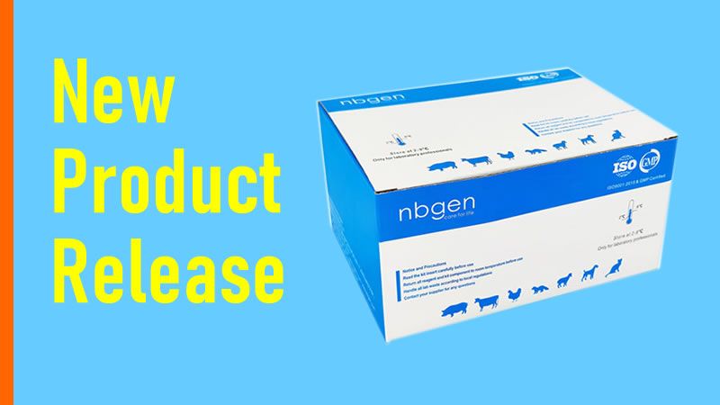 Ringbio releases new ELISA Kit to detect toxoplasma antibodies in multiple animals