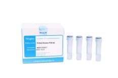Brucella Real-time PCR Kit